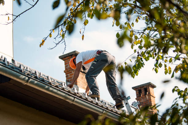 Best Commercial Roofing Services  in Fairfield, IL